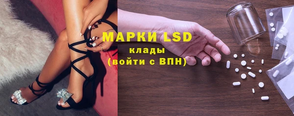 сатива Лабытнанги