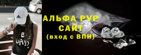 сатива Лабытнанги