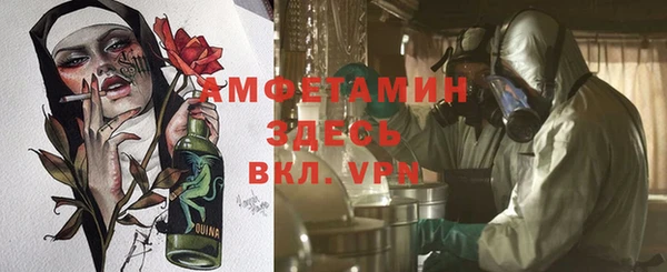 сатива Лабытнанги